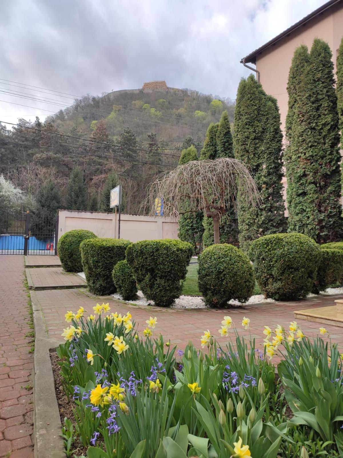 מלון דבה Casa Alina חדר תמונה
